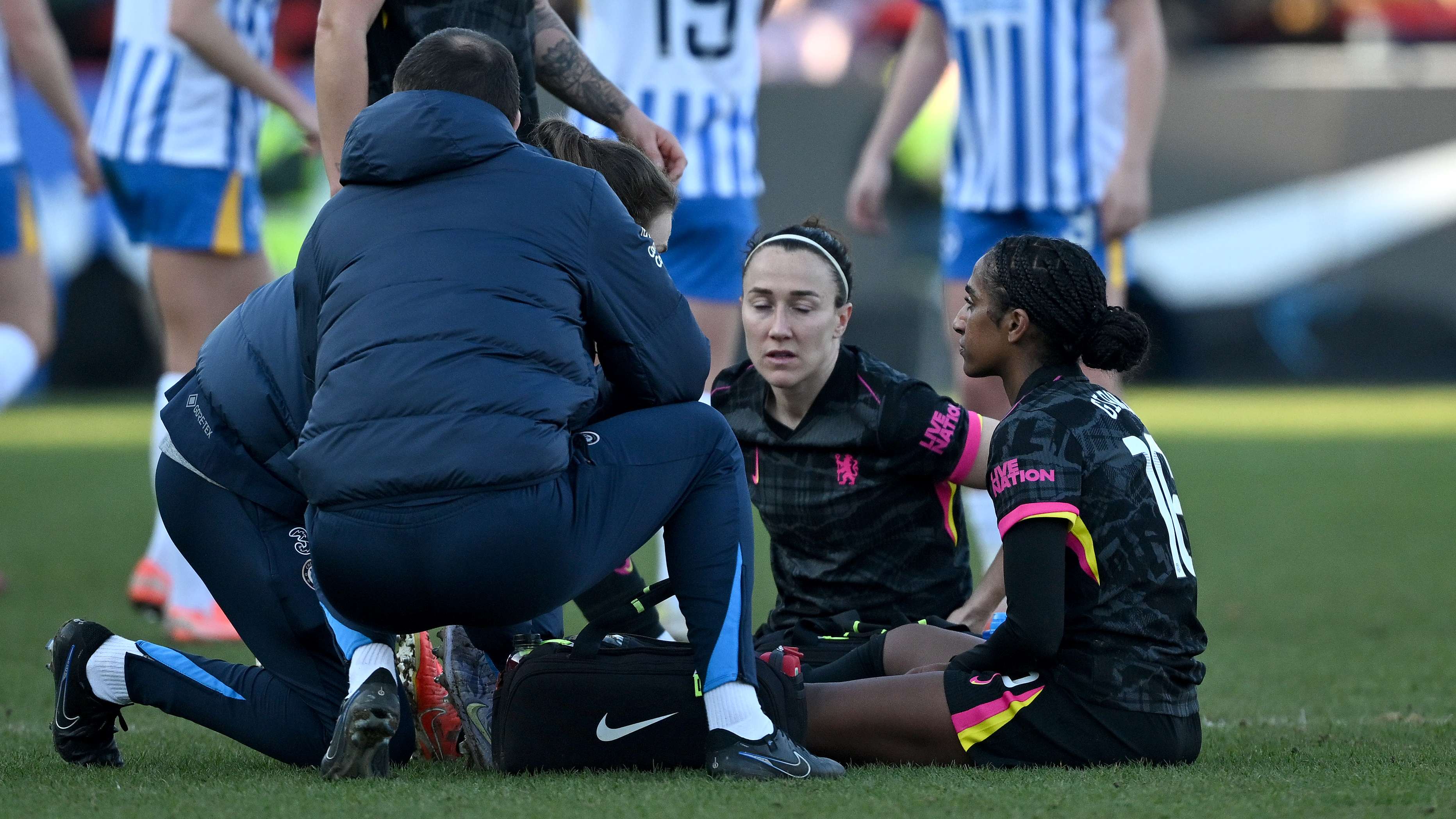 助合同中 助合同中